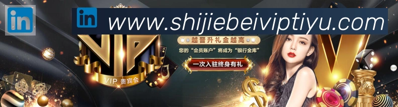 企业概况