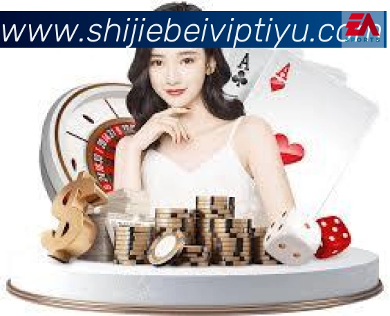 未来规划